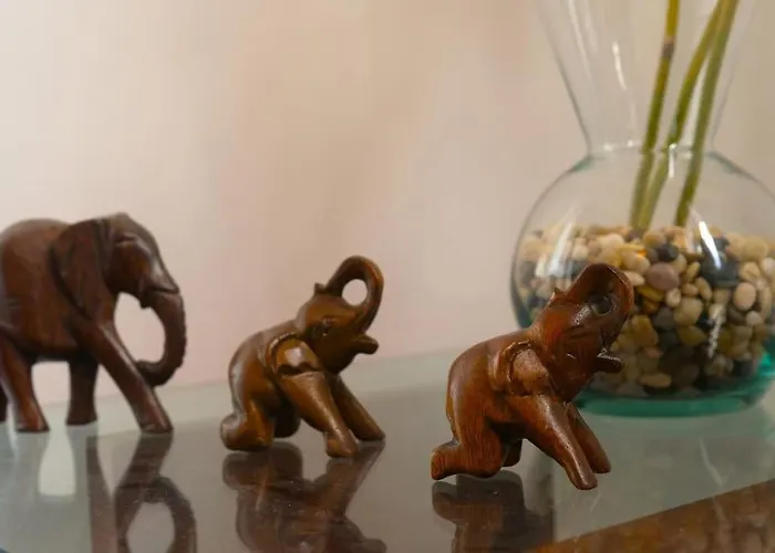 Casa Menezes Sunrise And Sunset Every Day