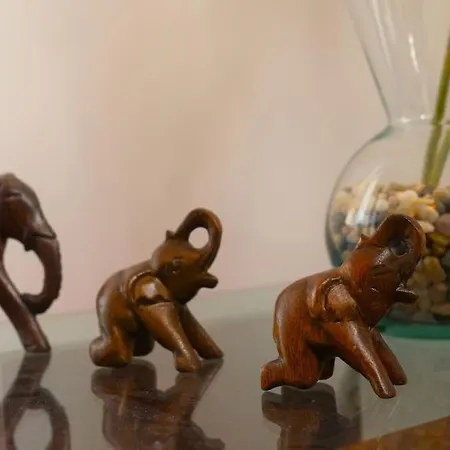 Casa Menezes Sunrise And Sunset Every Day